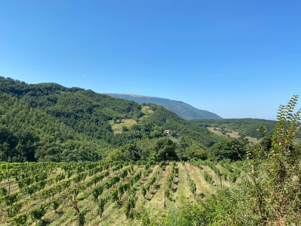 אסיסי Agriturismo Le Case מראה חיצוני תמונה