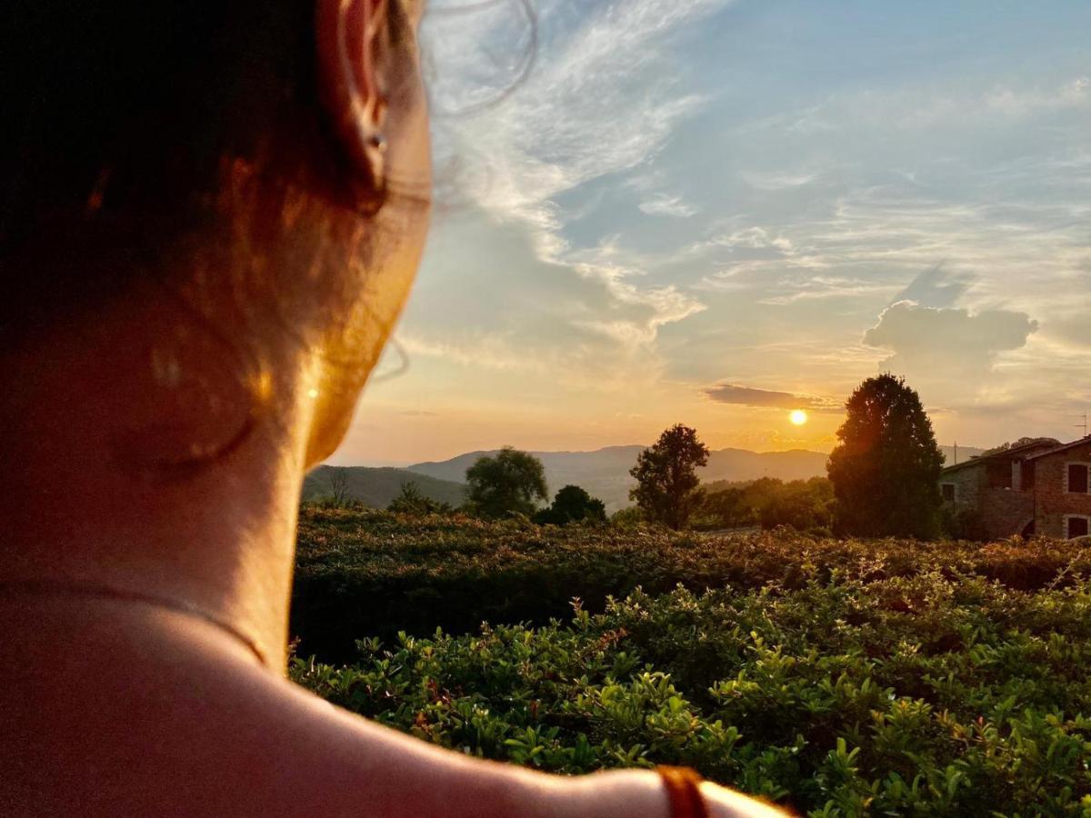 אסיסי Agriturismo Le Case מראה חיצוני תמונה