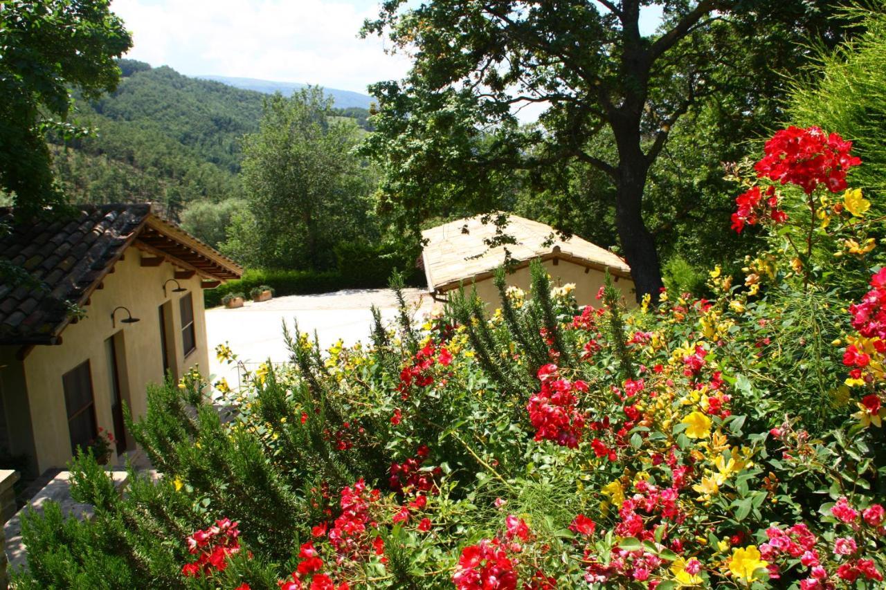 אסיסי Agriturismo Le Case מראה חיצוני תמונה