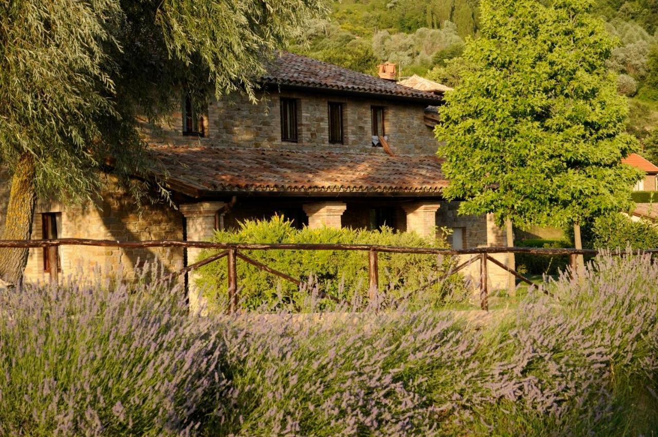 אסיסי Agriturismo Le Case מראה חיצוני תמונה